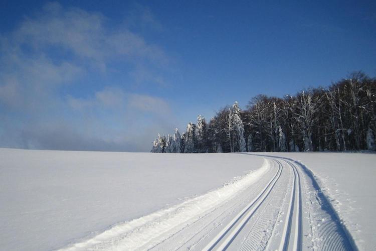 Cozy Apartment In Sonnen Bavaria Near Forest エクステリア 写真